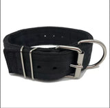 5pk special $75 4 ply nylon dog collar
