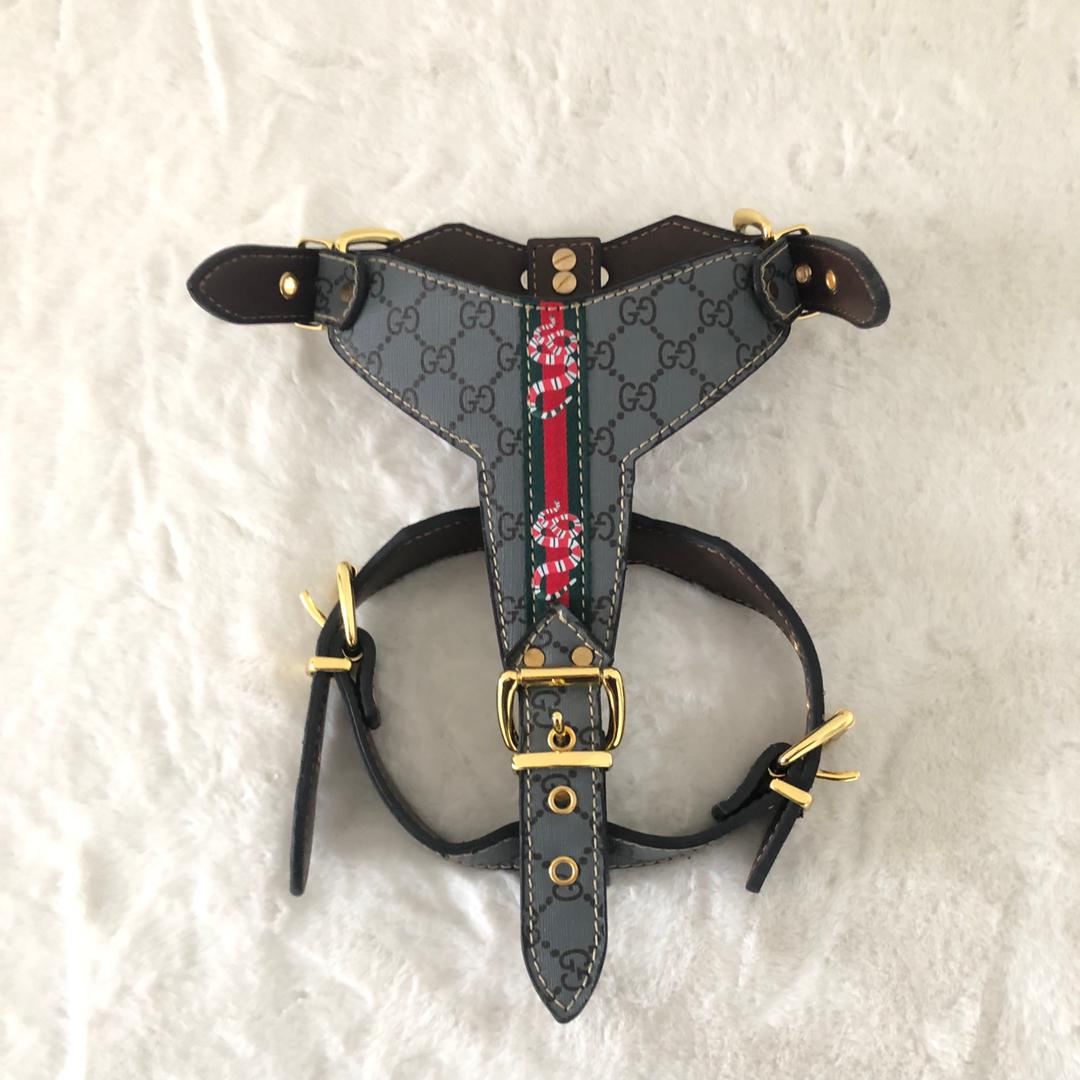 G Designer Harness  and Leash Set