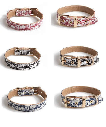 Designer Dog Cat Collar and Leash