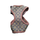 Designer Cat  Dog Harness and Leash Set