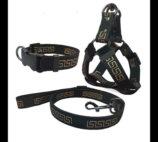 V Designer Dog Cat Harness and Leash Sets (no words)