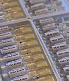 Heat Shot Estrus Shot single