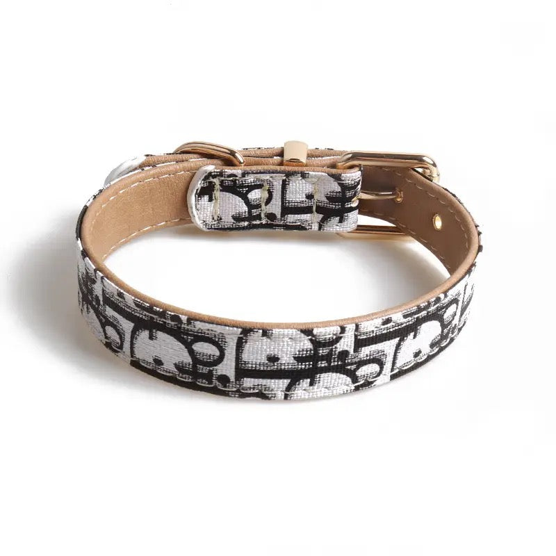 Designer Dog Cat Collar and Leash