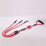 Nylon Two and More Dogs Leash