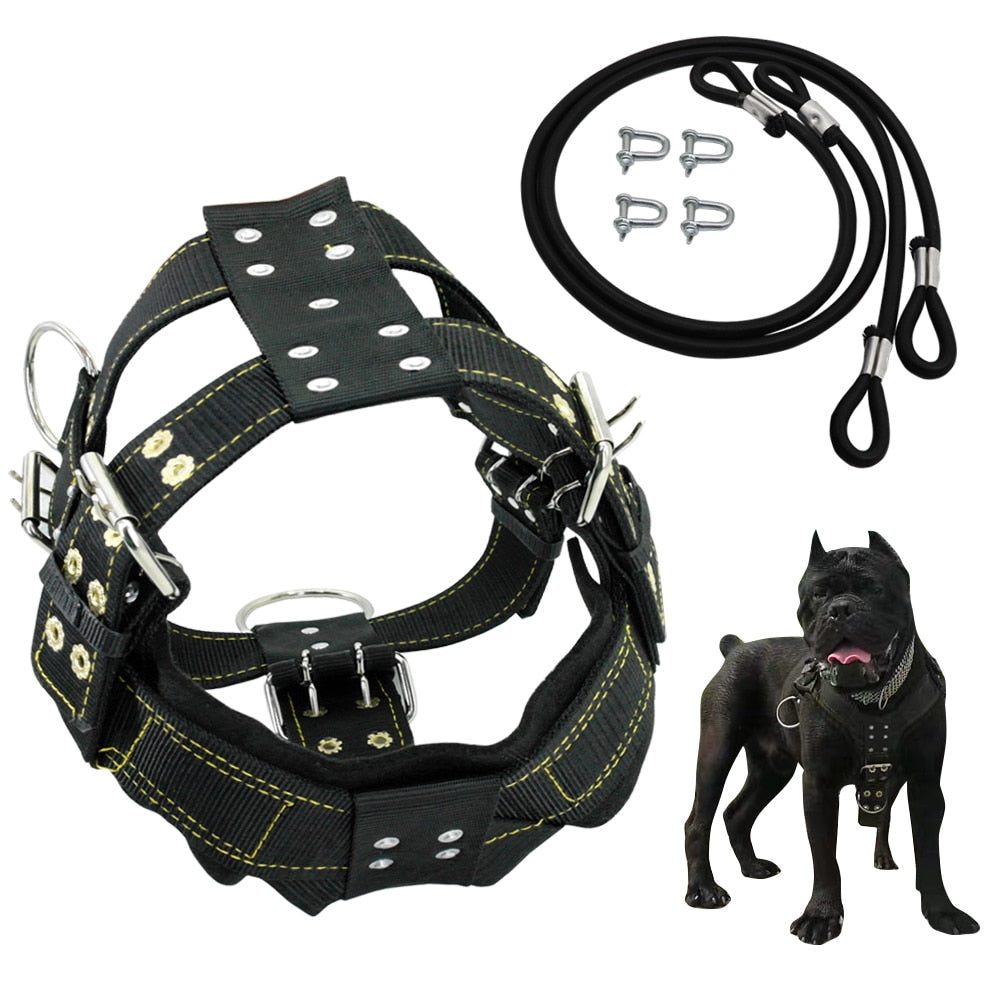 Training Durable Dog Harness and Leash for Dogs Heavy Duty Harness