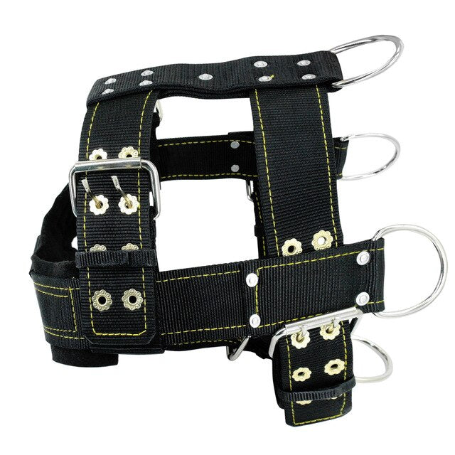 Training Durable Dog Harness and Leash for Dogs Heavy Duty Harness